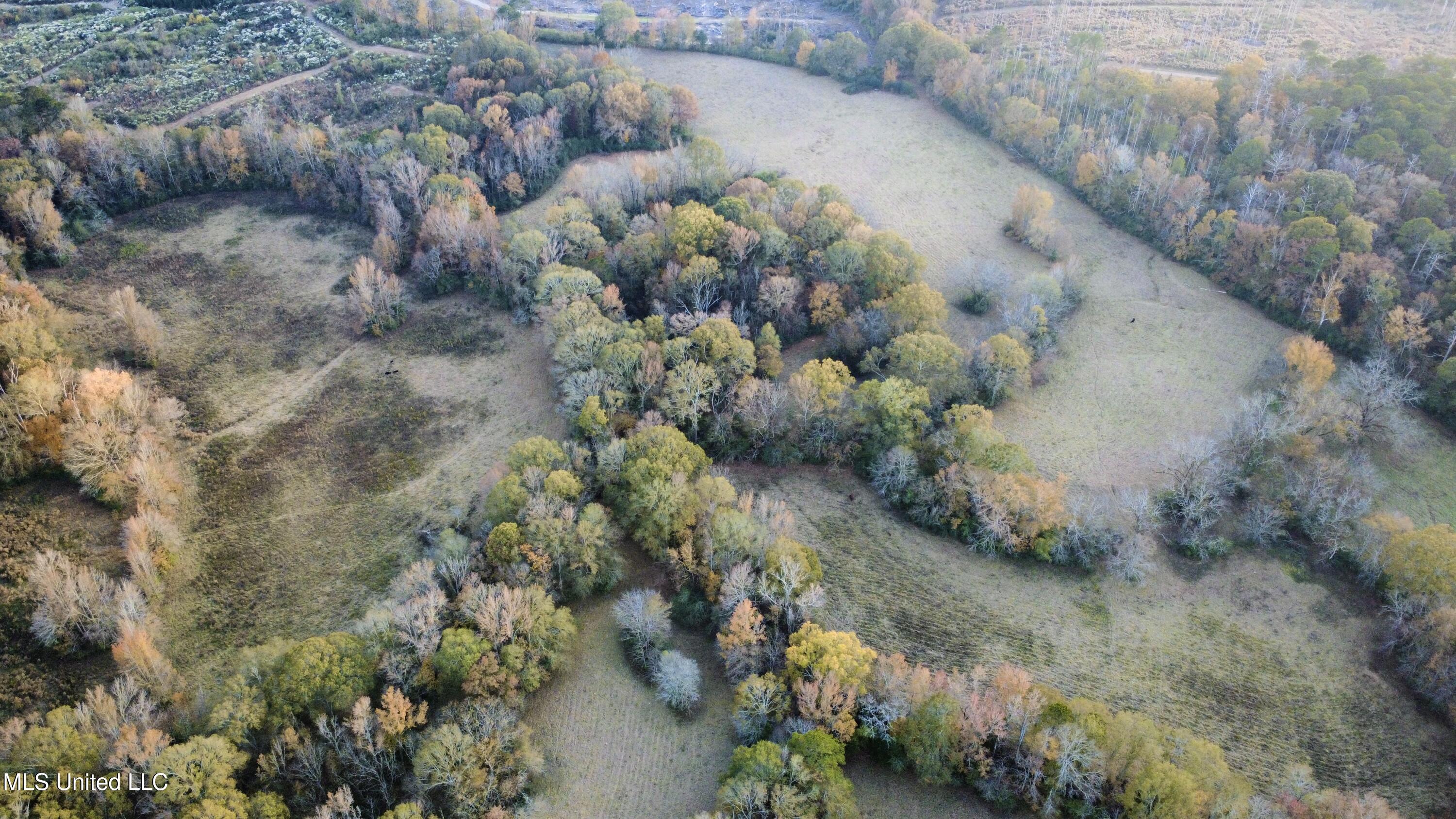 Photo Nov 18 2025, 3 48 03 PM