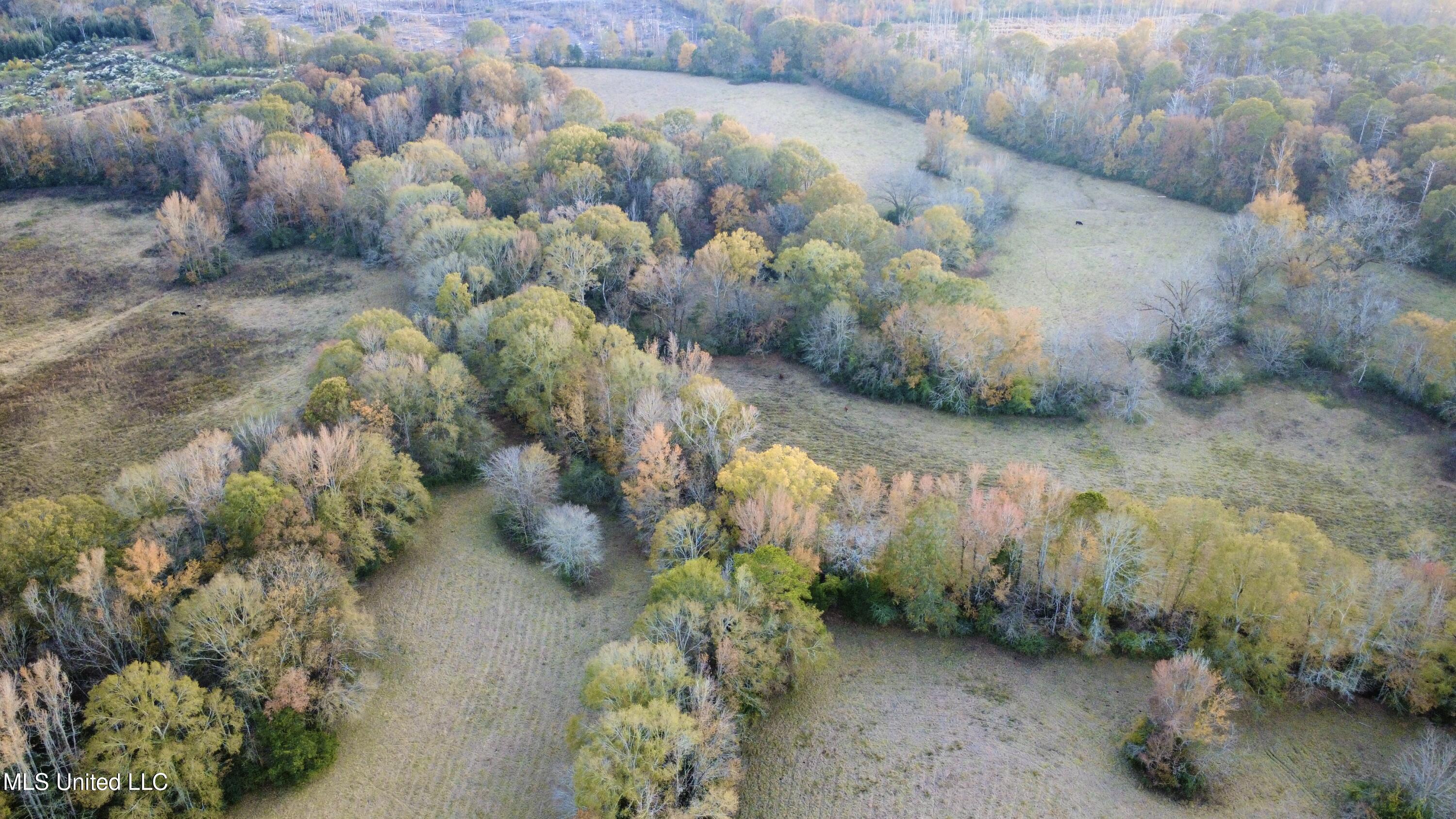 3142 King Road Wesson, MS 39191 - Photo 11 of 18 Photo Nov 18 2025, 3 48 41 PM