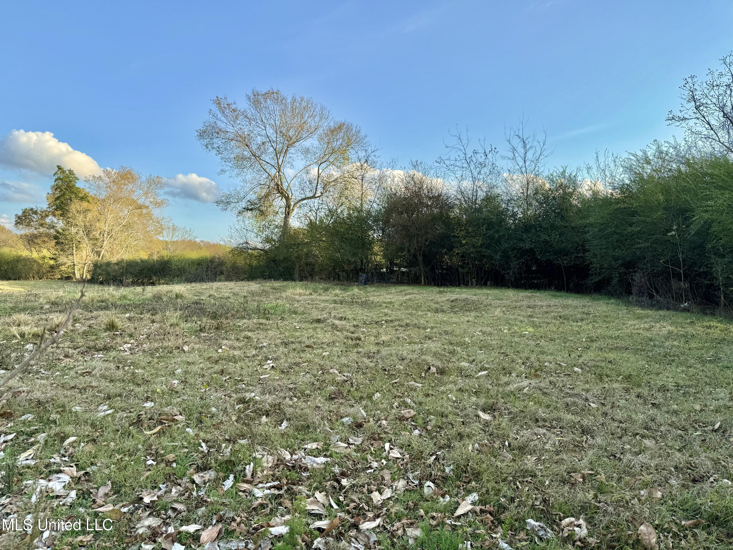 3142 King Road Wesson, MS 39191 - Photo 14 of 18 Photo Nov 18 2025, 4 04 19 PM