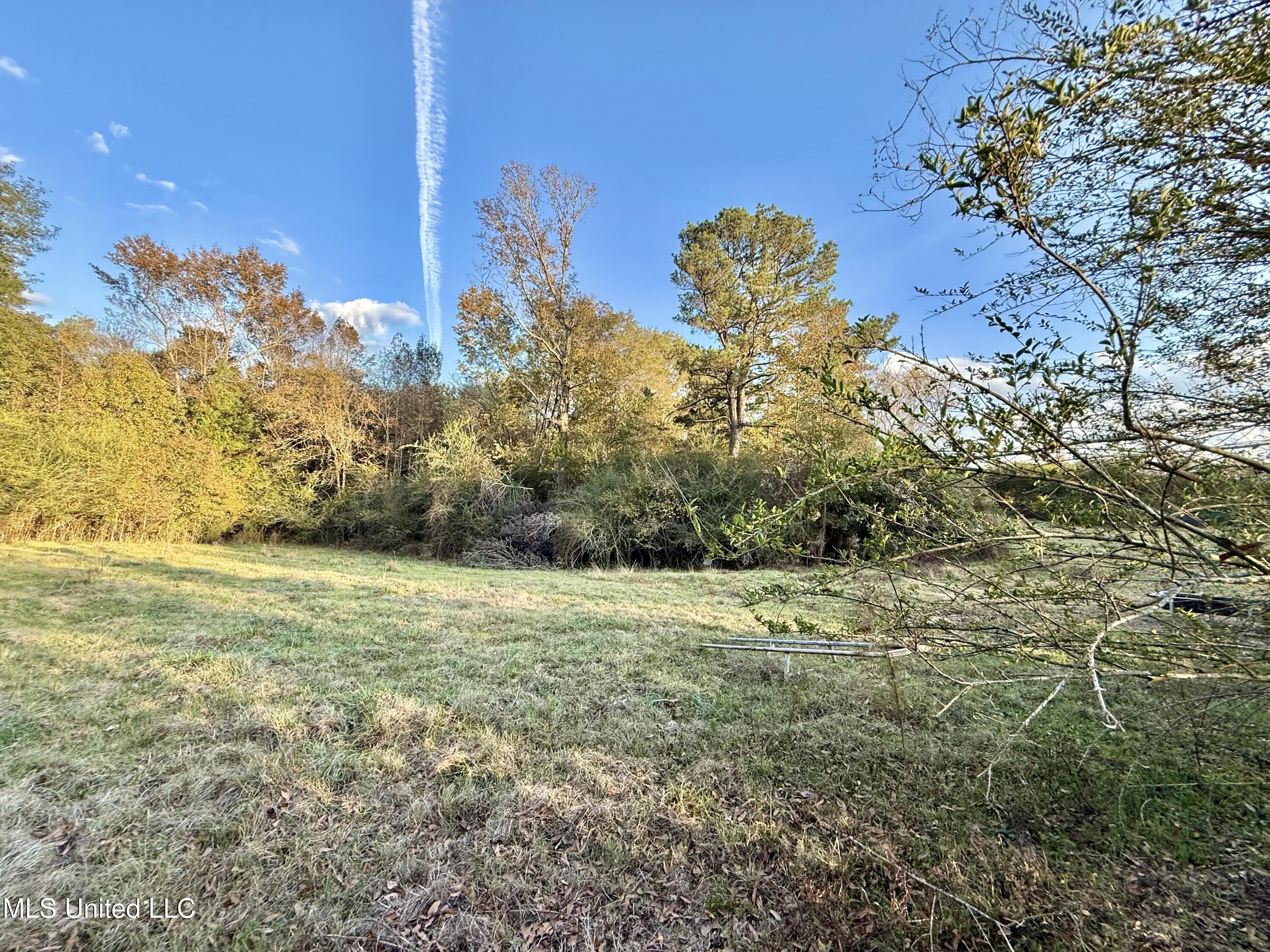 3142 King Road Wesson, MS 39191 - Photo 15 of 18 Photo Nov 18 2025, 4 06 21 PM