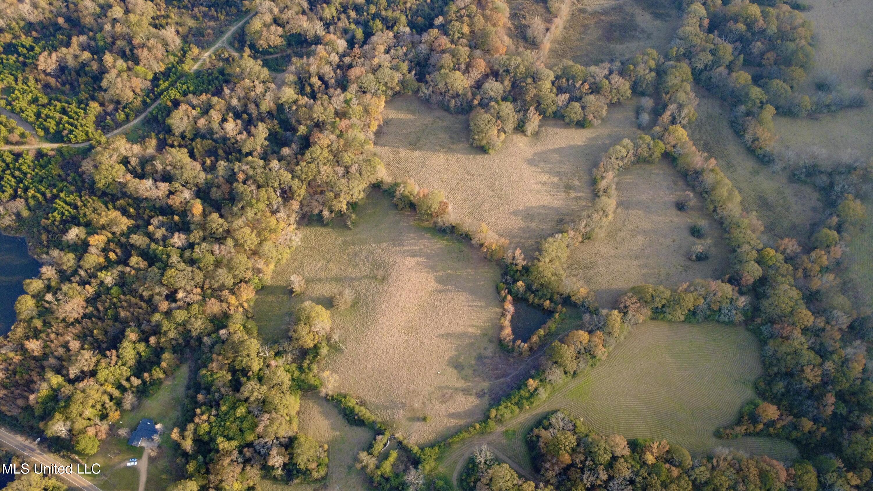 3142 King Road Wesson, MS 39191 - Photo 2 of 18 Photo Nov 18 2025, 3 45 55 PM