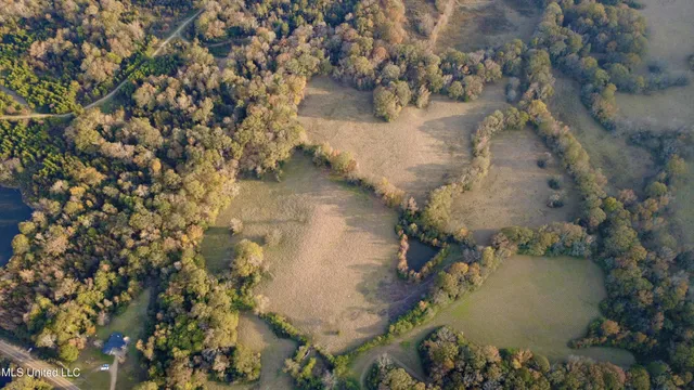 $375,000 | 3142 King Road, Wesson, MS 39191