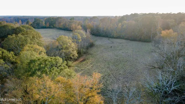 $299,000 | 3142 King Road, Wesson, MS 39191