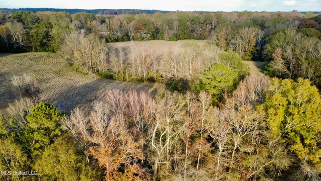 $375,000 | 3142 King Road, Wesson, MS 39191