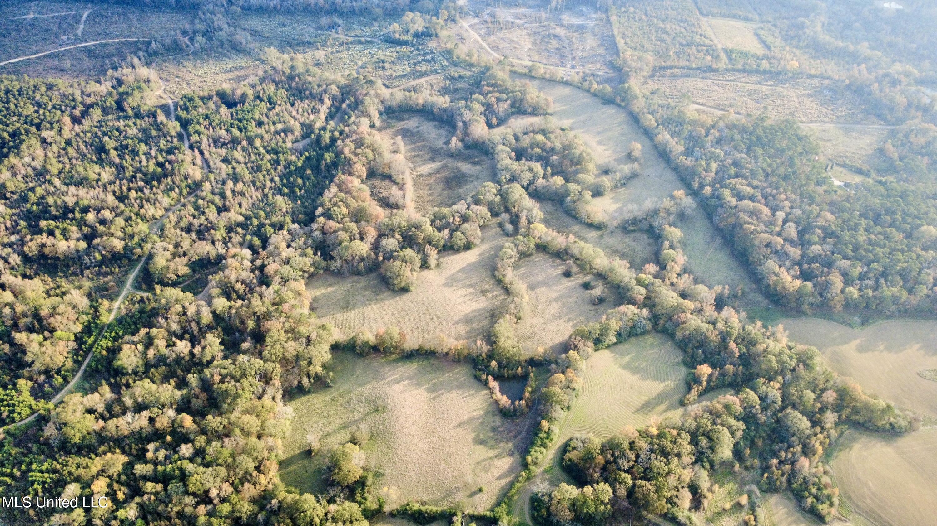 3142 King Road Wesson, MS 39191 - Photo 7 of 18 Photo Nov 18 2025, 3 44 48 PM