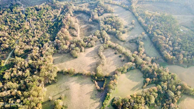 $375,000 | 3142 King Road, Wesson, MS 39191