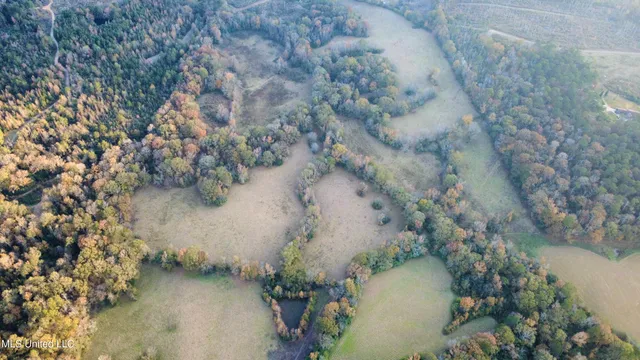 $375,000 | 3142 King Road, Wesson, MS 39191