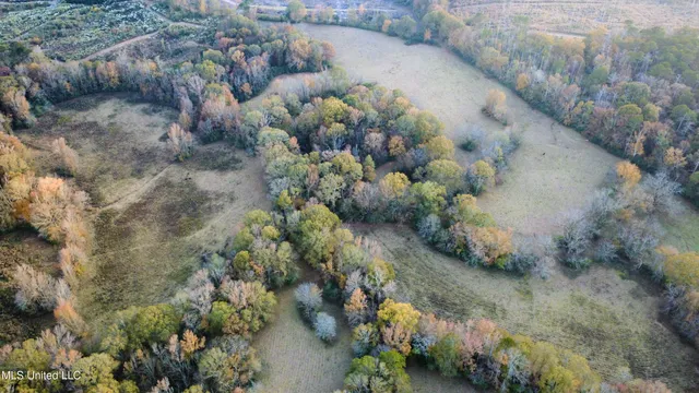 $375,000 | 3142 King Road, Wesson, MS 39191