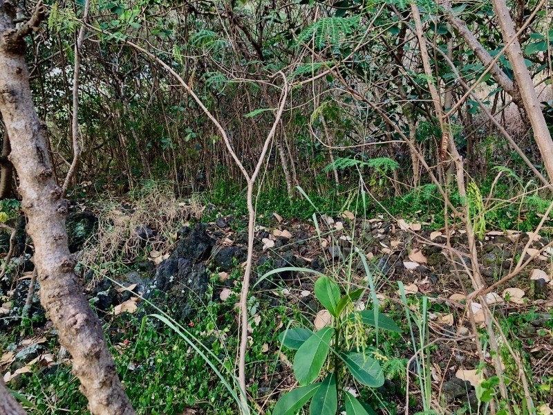 142 Rd F Captain Cook, HI 96704 - Photo 12 of 17 Gallery Image 12