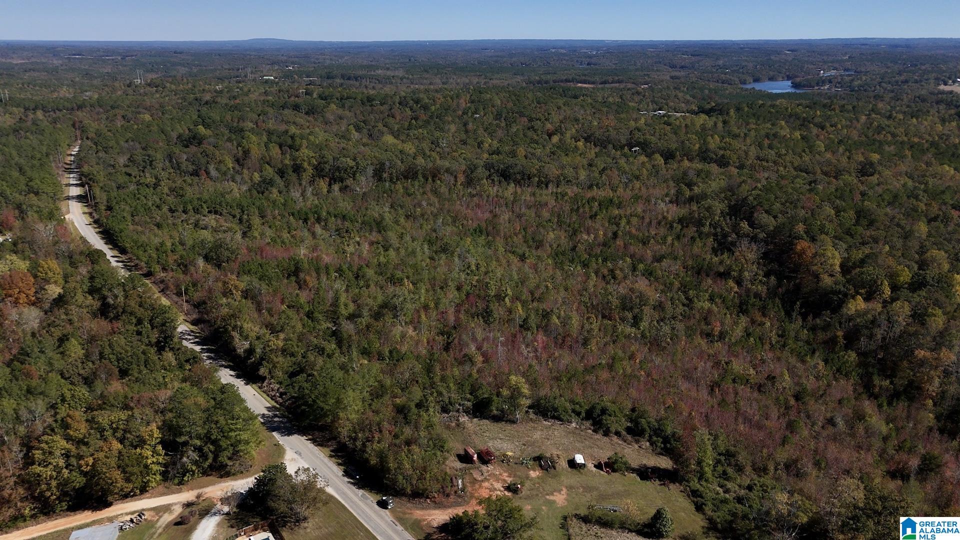 0 County Road 99, Unit 1 Wedowee, AL 36278 - Photo 2 of 5