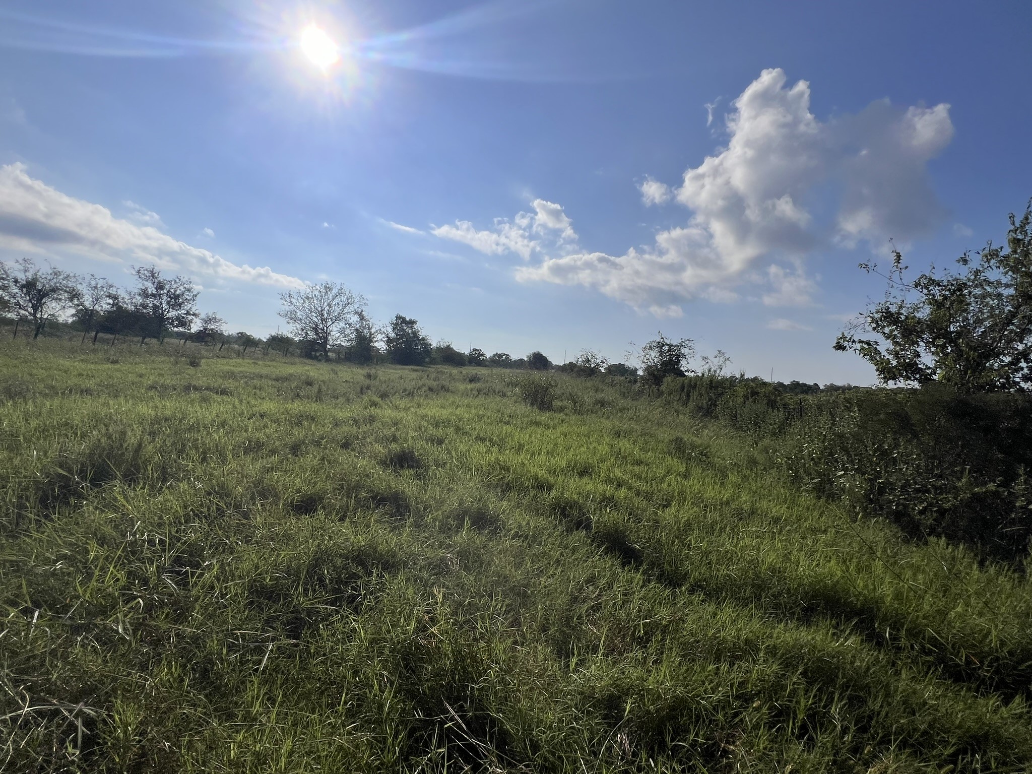 7830 Minonite Road Richmond, TX 77469 - Photo 11 of 28 a view of an outdoor space and yard