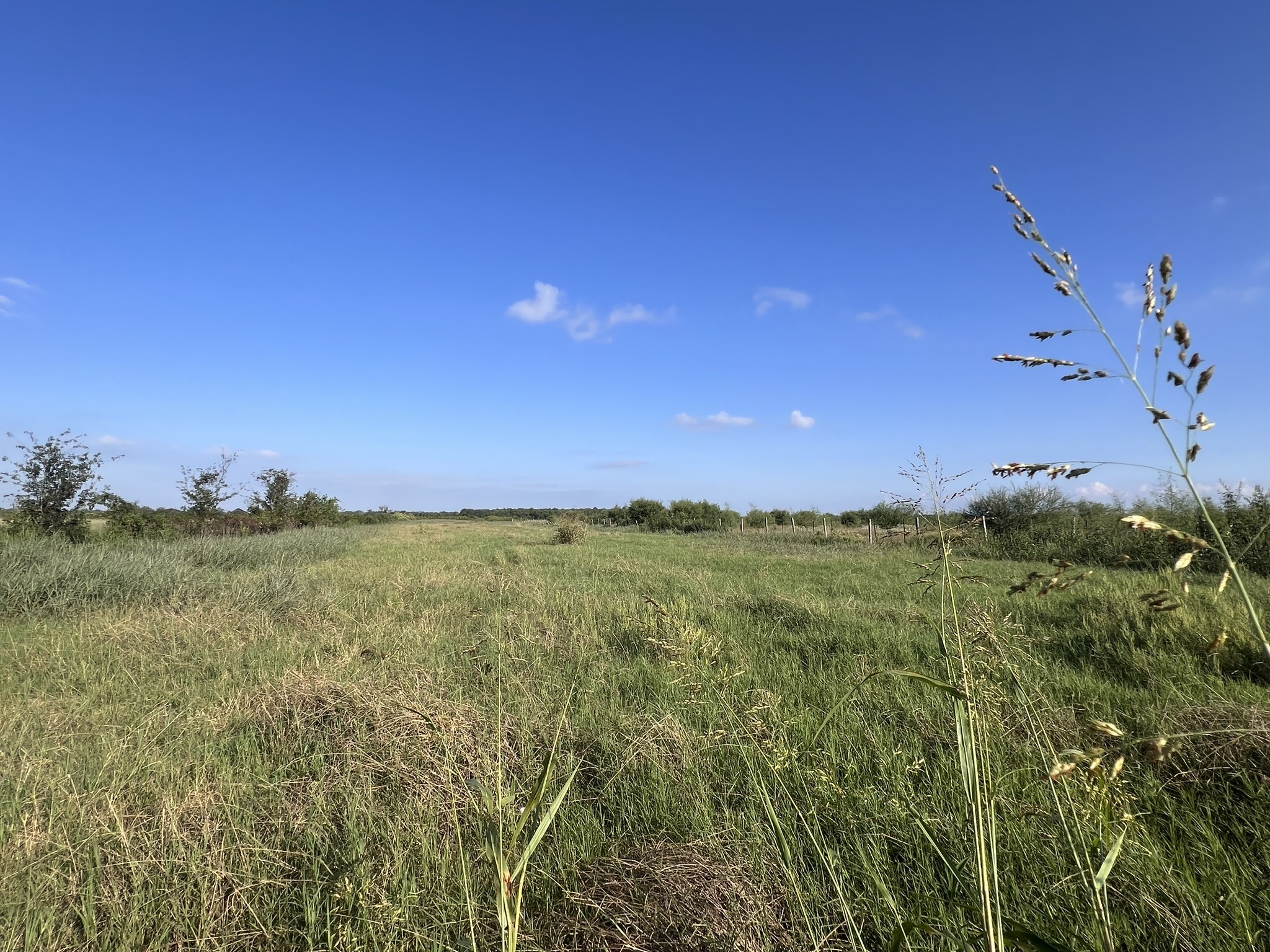 7830 Minonite Road Richmond, TX 77469 - Photo 12 of 28 a view of an ocean