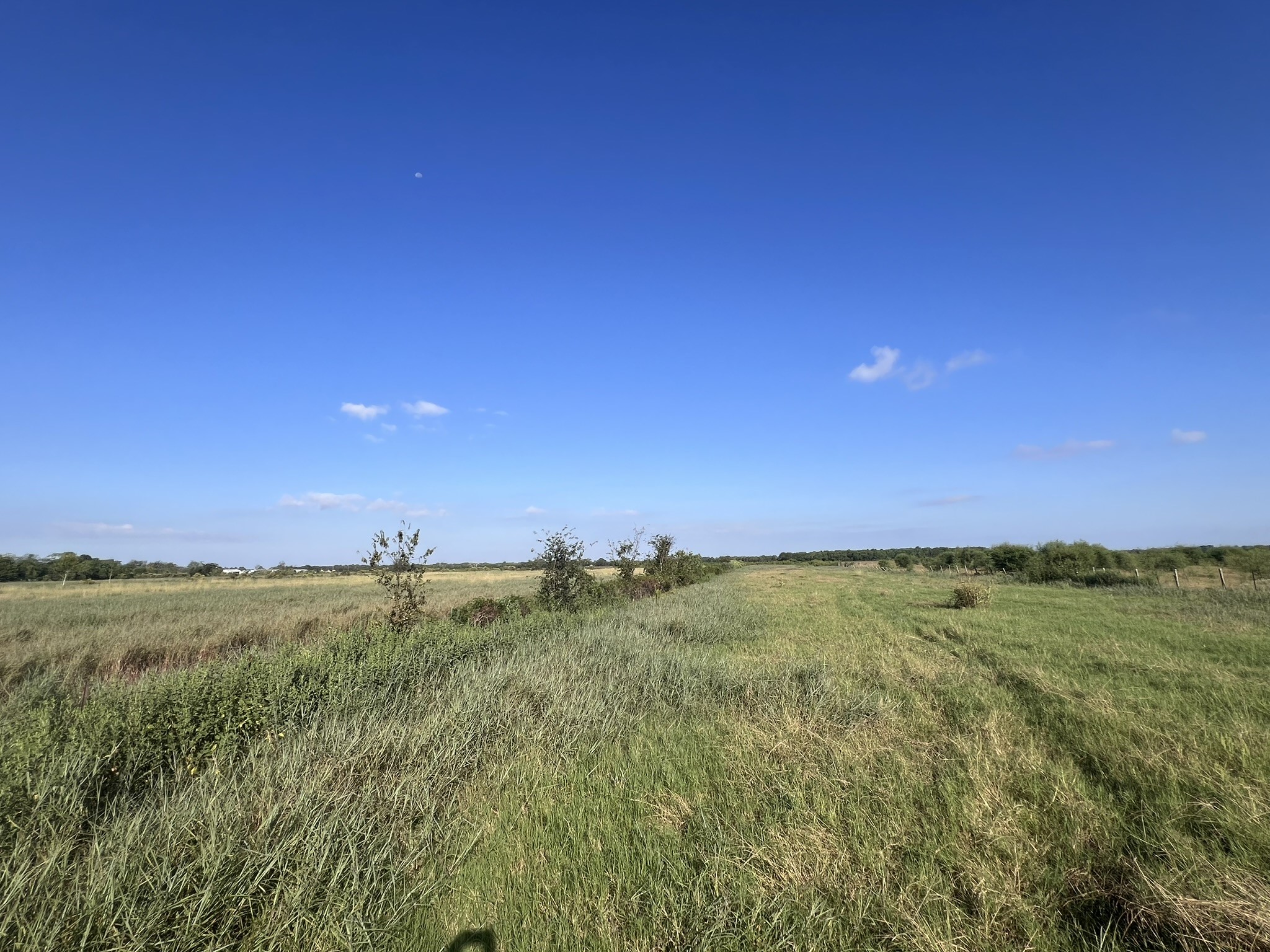 7830 Minonite Road Richmond, TX 77469 - Photo 13 of 28 a view of a big yard with an trees