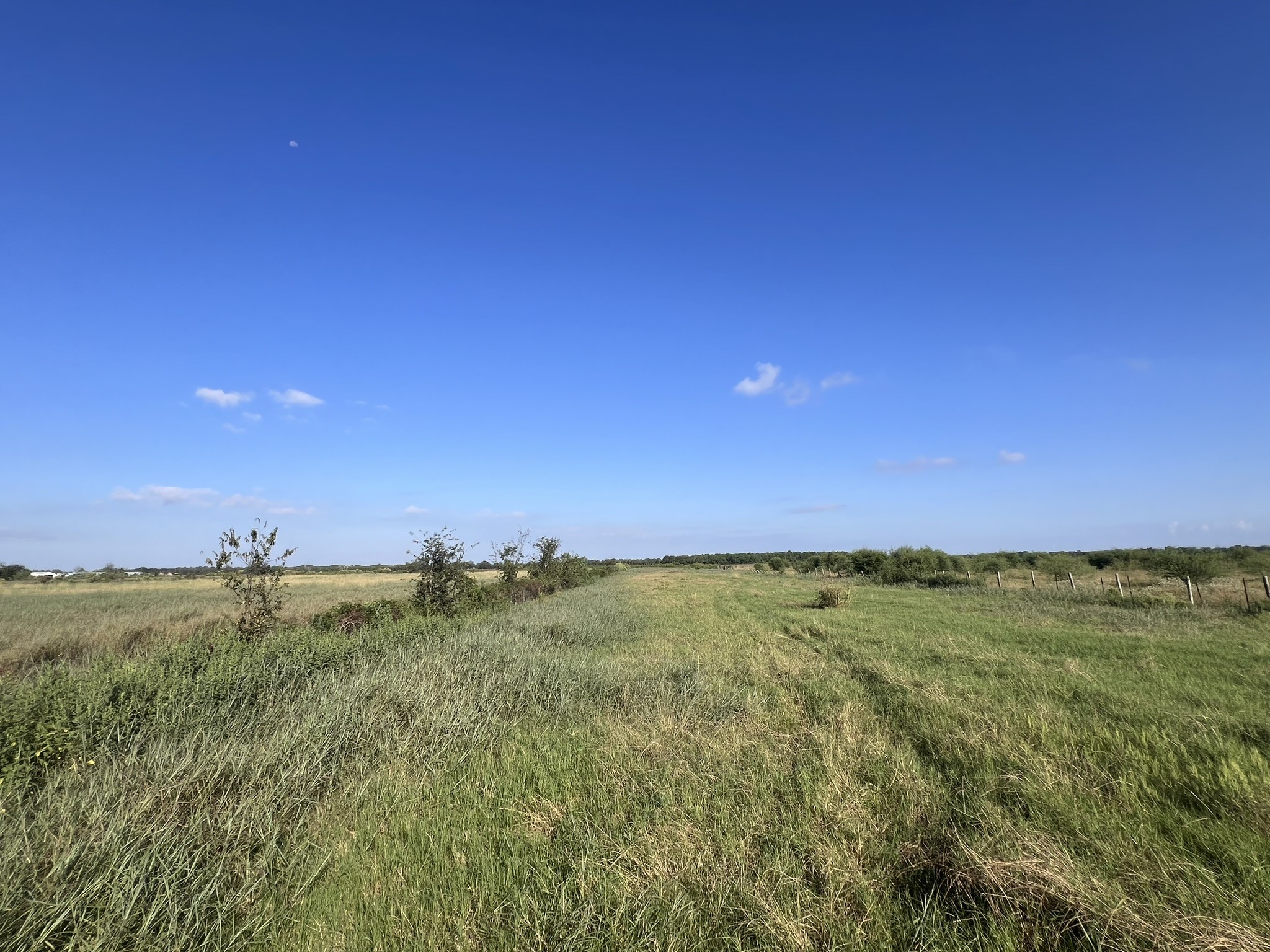 7830 Minonite Road Richmond, TX 77469 - Photo 14 of 28 a view of a yard with an trees