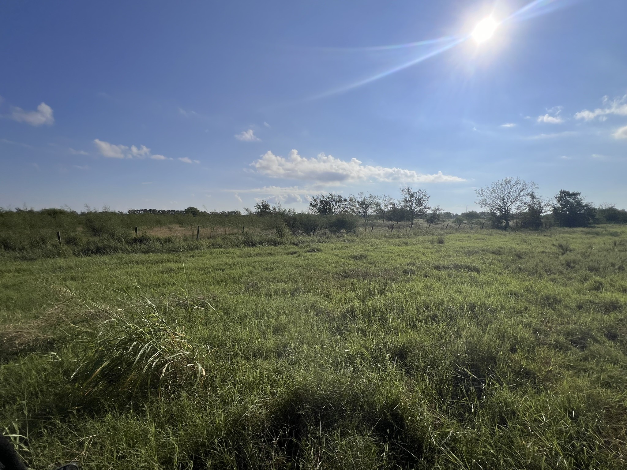 7830 Minonite Road Richmond, TX 77469 - Photo 16 of 28 a view of a big yard with a large tree