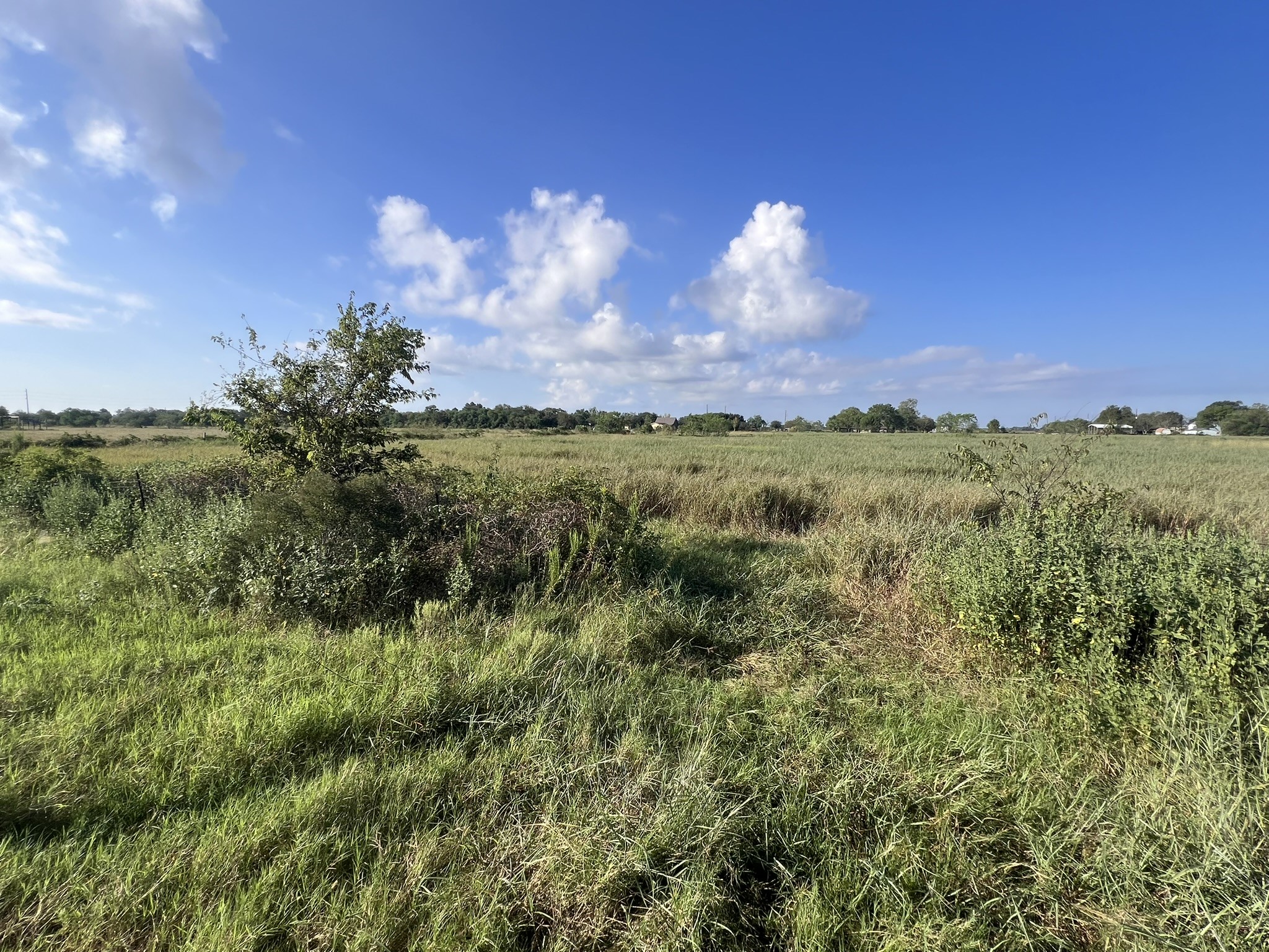 7830 Minonite Road Richmond, TX 77469 - Photo 18 of 28 a view of a city
