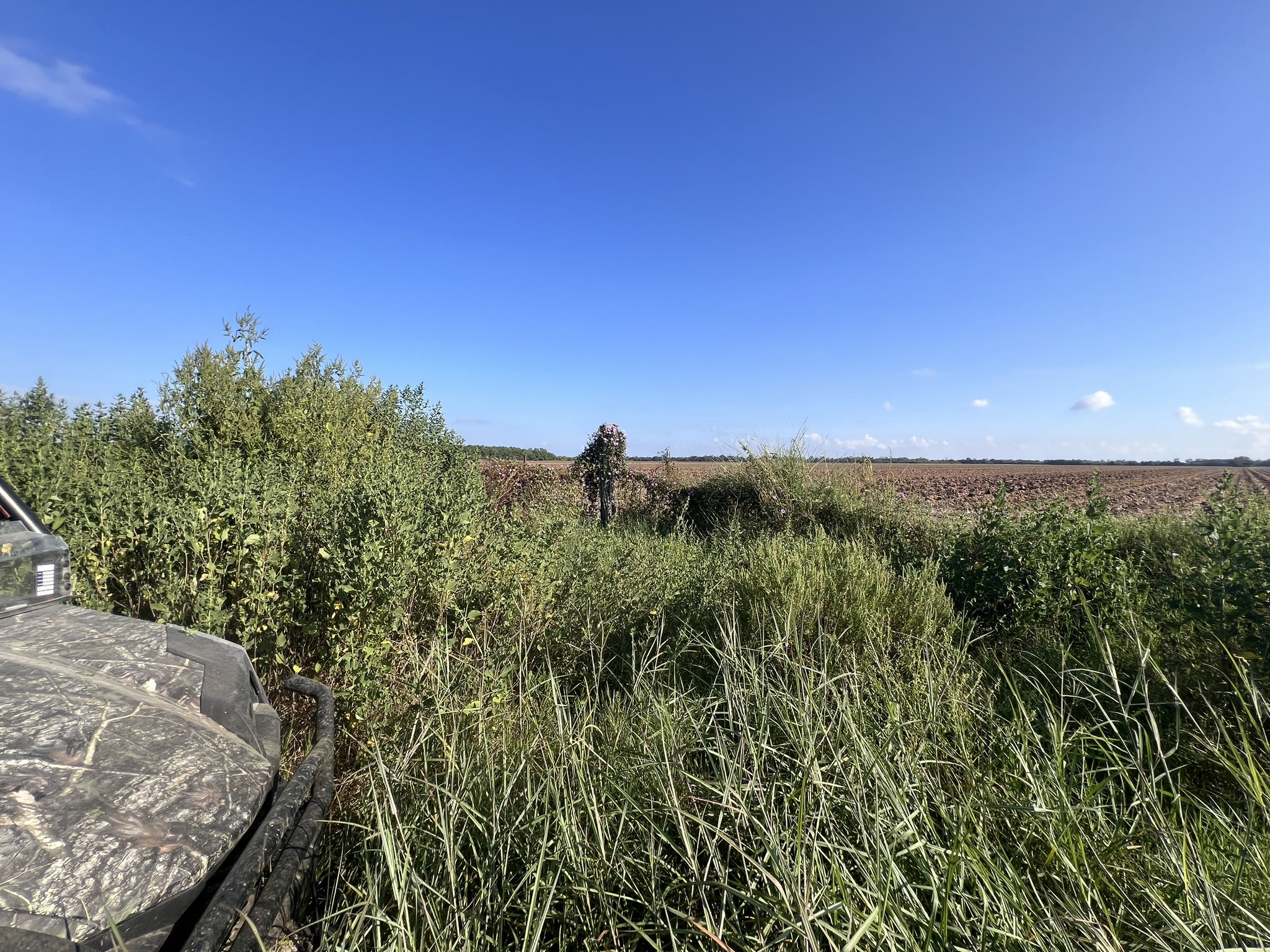 7830 Minonite Road Richmond, TX 77469 - Photo 23 of 28 a view of a green field with lots of bushes