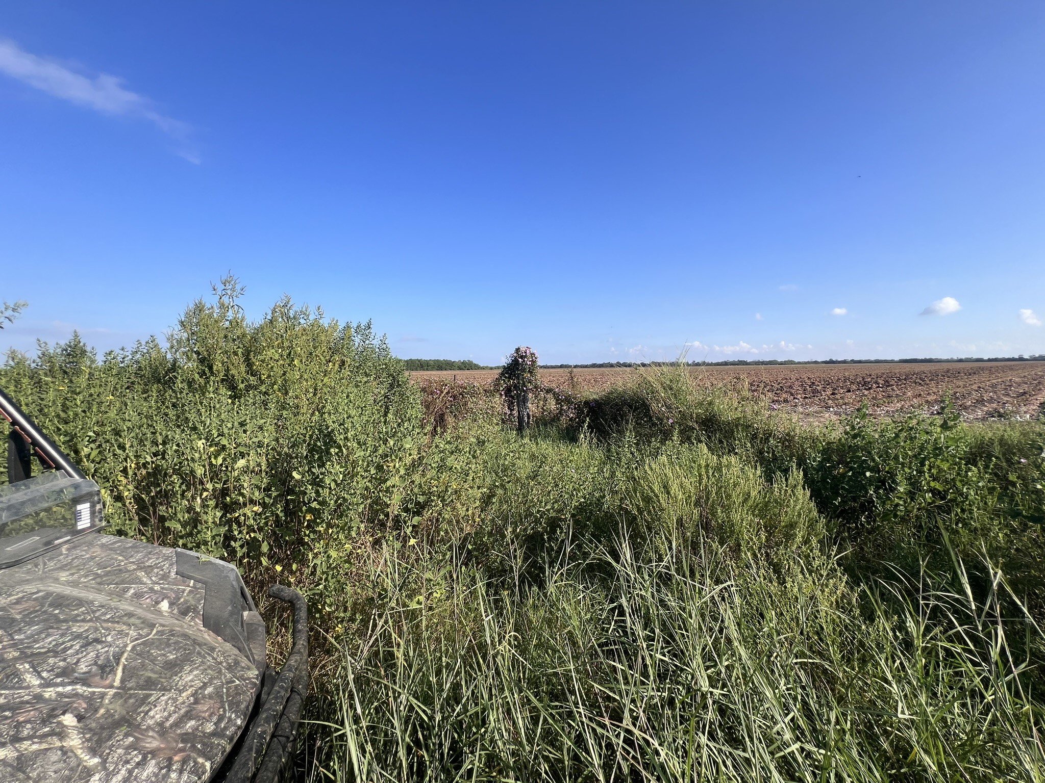 7830 Minonite Road Richmond, TX 77469 - Photo 24 of 28 a view of a city with lush green forest