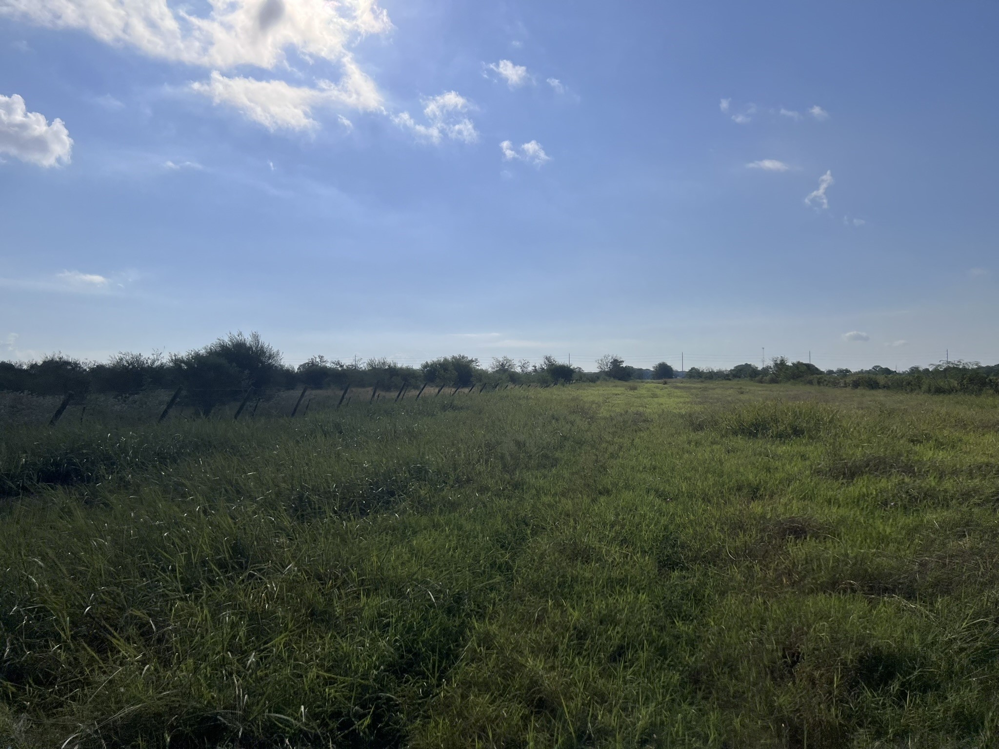 7830 Minonite Road Richmond, TX 77469 - Photo 26 of 28 a view of a field with a tree