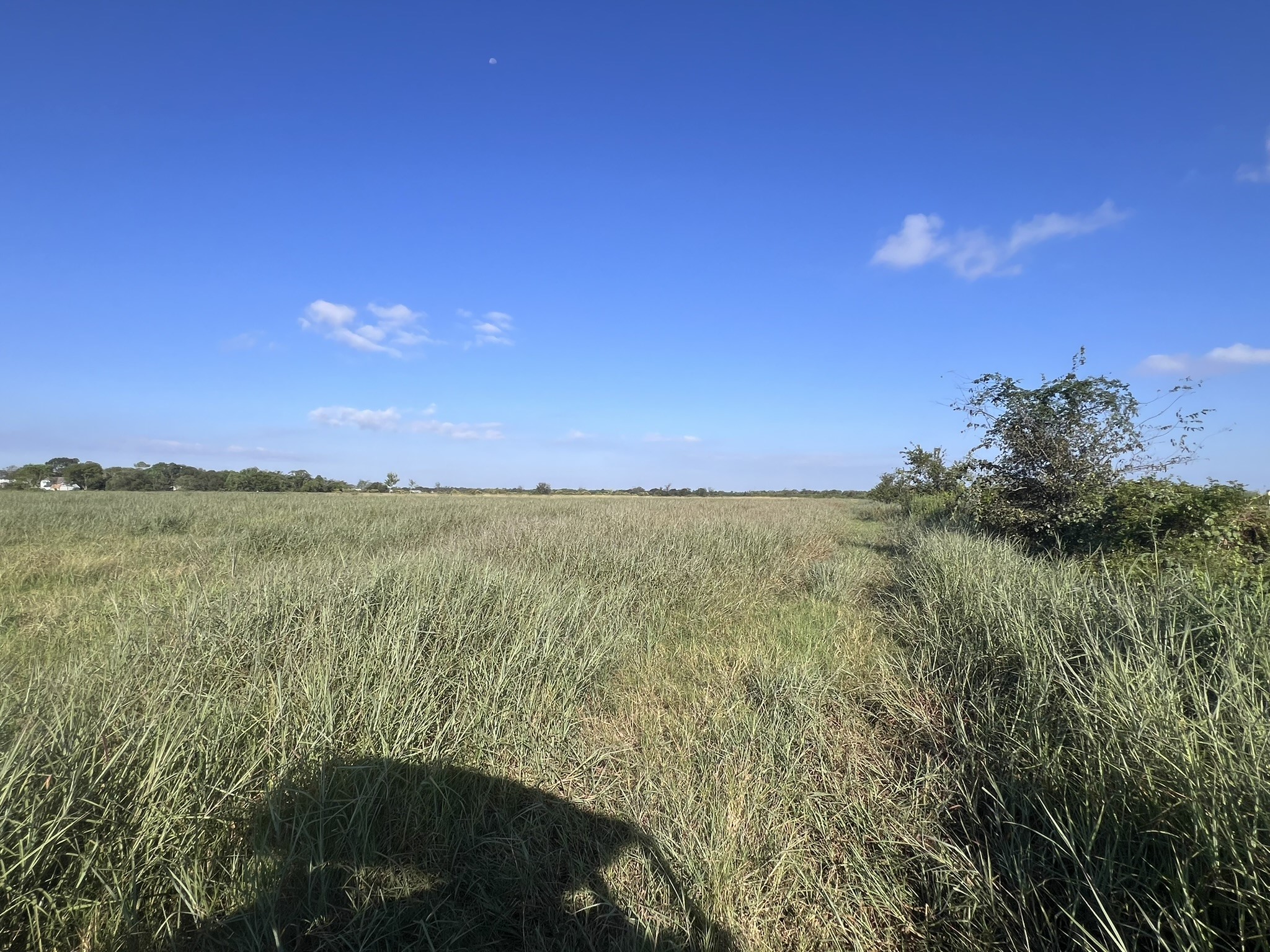 7830 Minonite Road Richmond, TX 77469 - Photo 10 of 28 a view of an ocean
