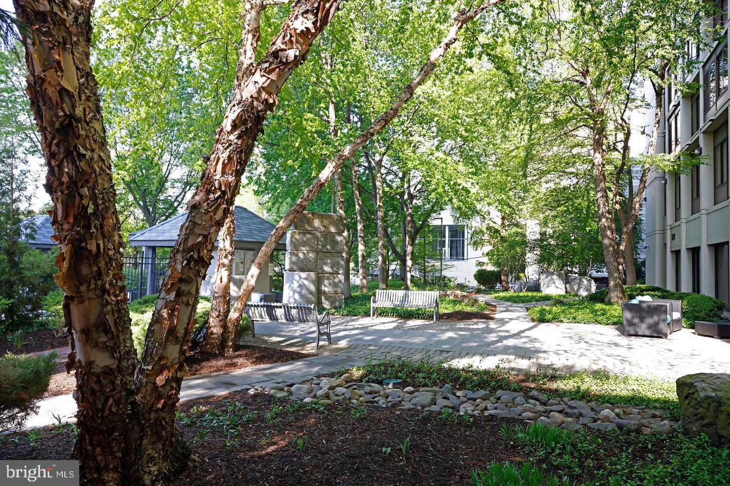 2001 Hamilton Street, Unit 2001 Philadelphia, PA 19130 - Photo 40 of 45 Garden