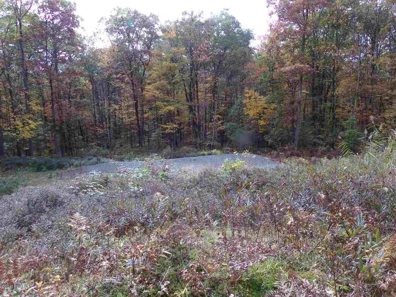 Lot 6.82 Lenni Lenape Road Narrowsburg, NY 12764 - Photo 14 of 17