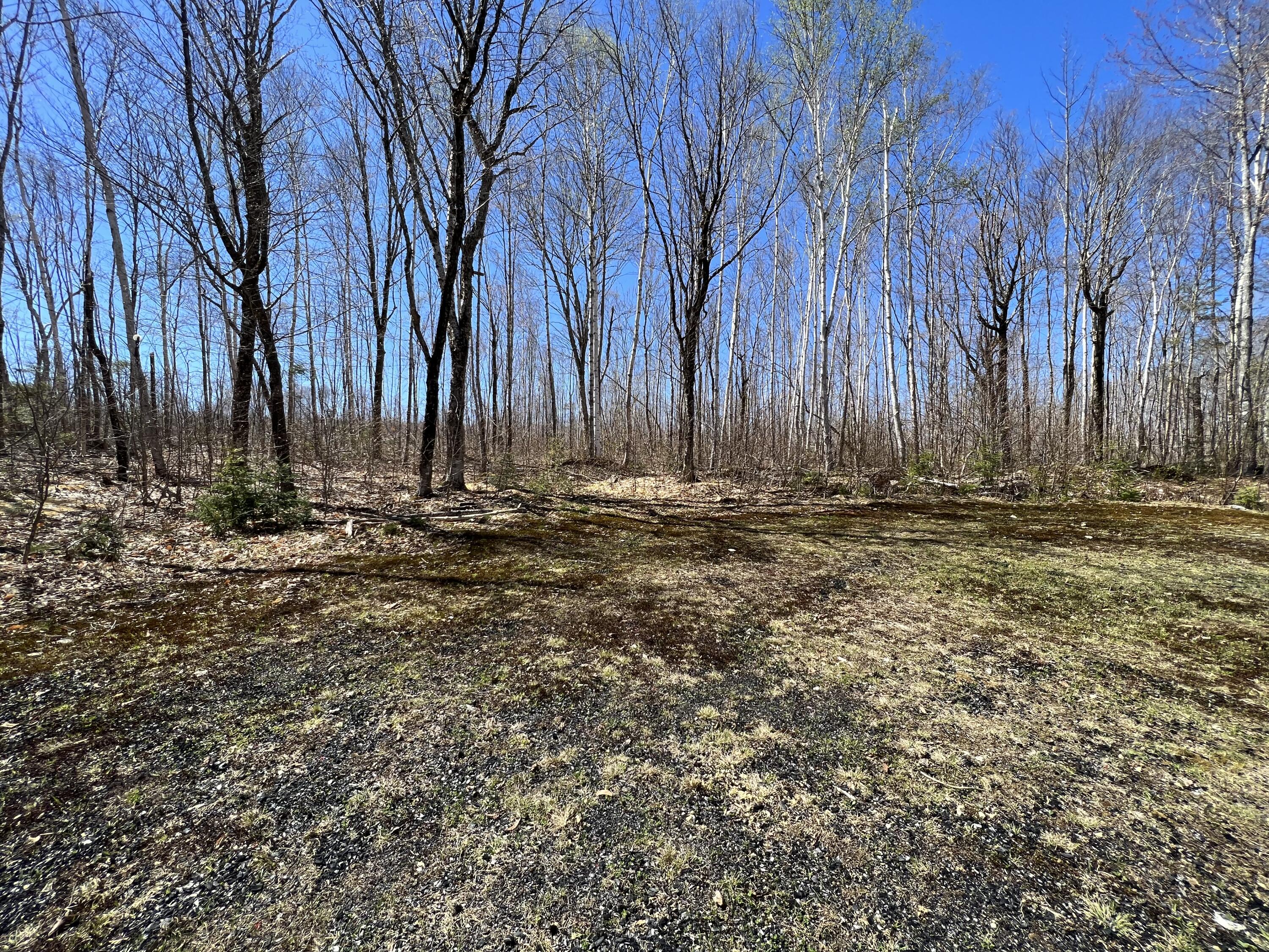 51 A Stone Road Mount Chase, ME 04765 - Photo 19 of 25 IMG_7935