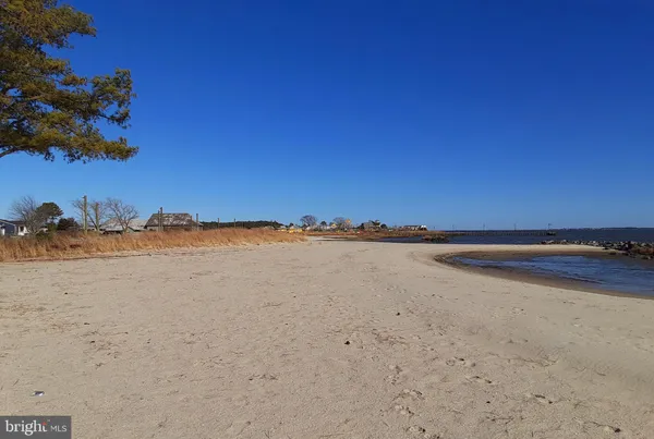 a view of beach and ocean