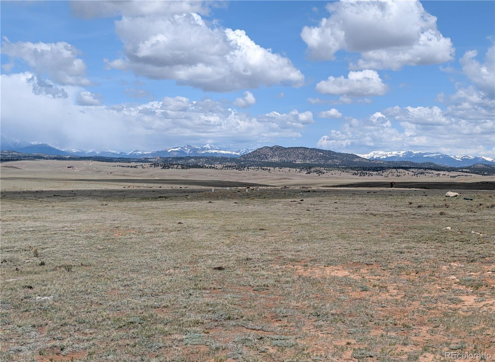 1920 Badger Basin Road Hartsel, CO 80449 - Photo 11 of 48