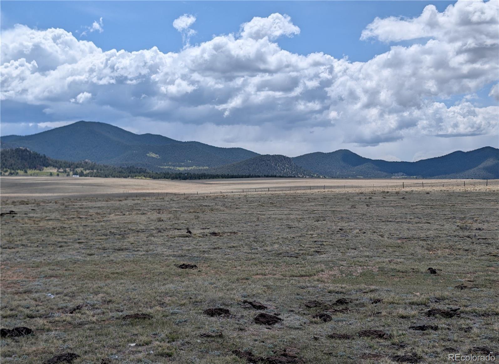 1920 Badger Basin Road Hartsel, CO 80449 - Photo 12 of 48