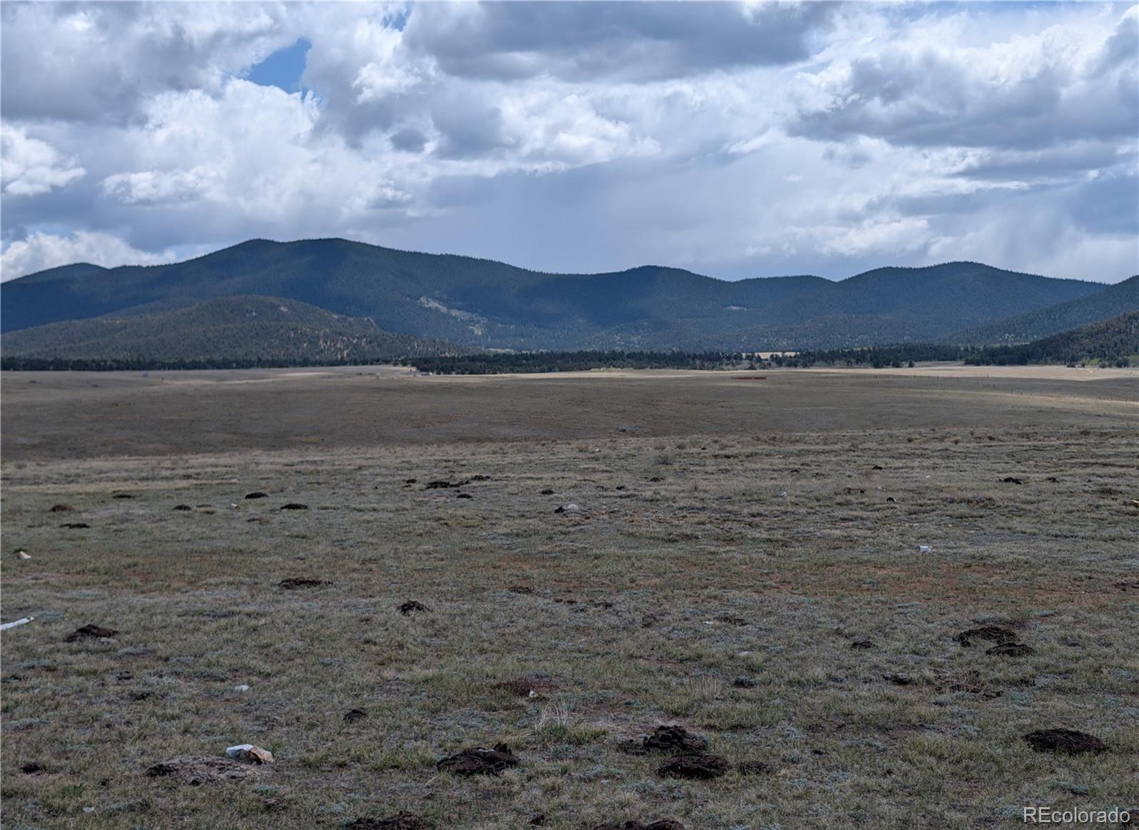 1920 Badger Basin Road Hartsel, CO 80449 - Photo 13 of 48