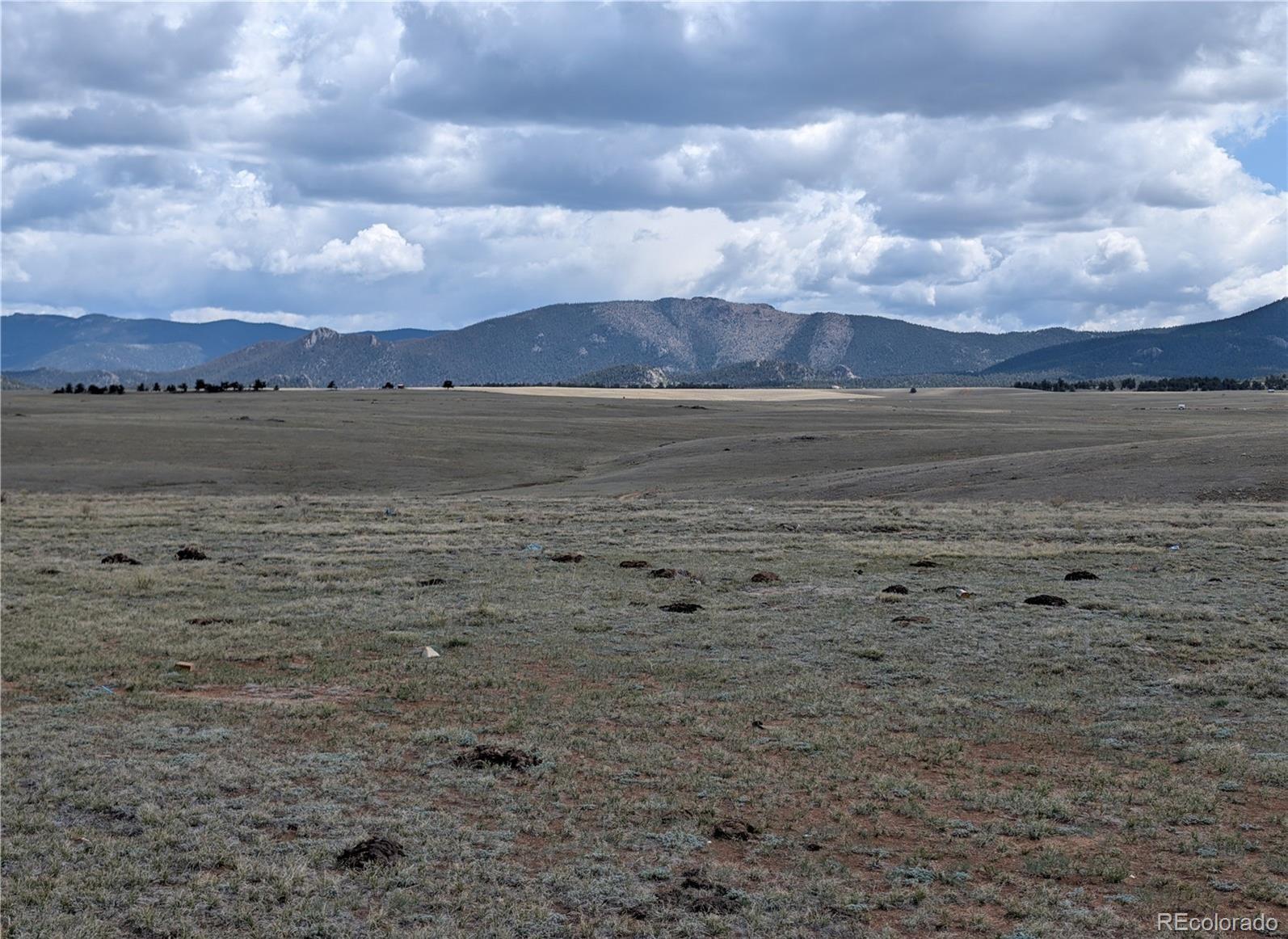 1920 Badger Basin Road Hartsel, CO 80449 - Photo 14 of 48