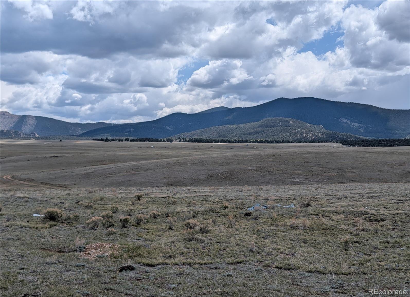 1920 Badger Basin Road Hartsel, CO 80449 - Photo 16 of 48
