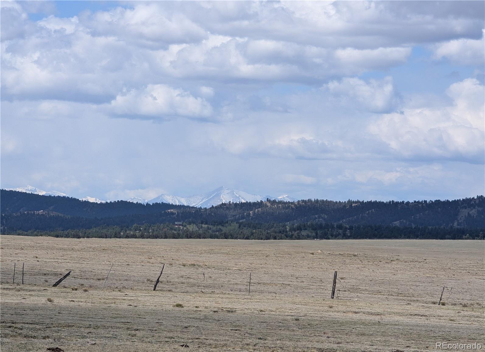 1920 Badger Basin Road Hartsel, CO 80449 - Photo 20 of 48