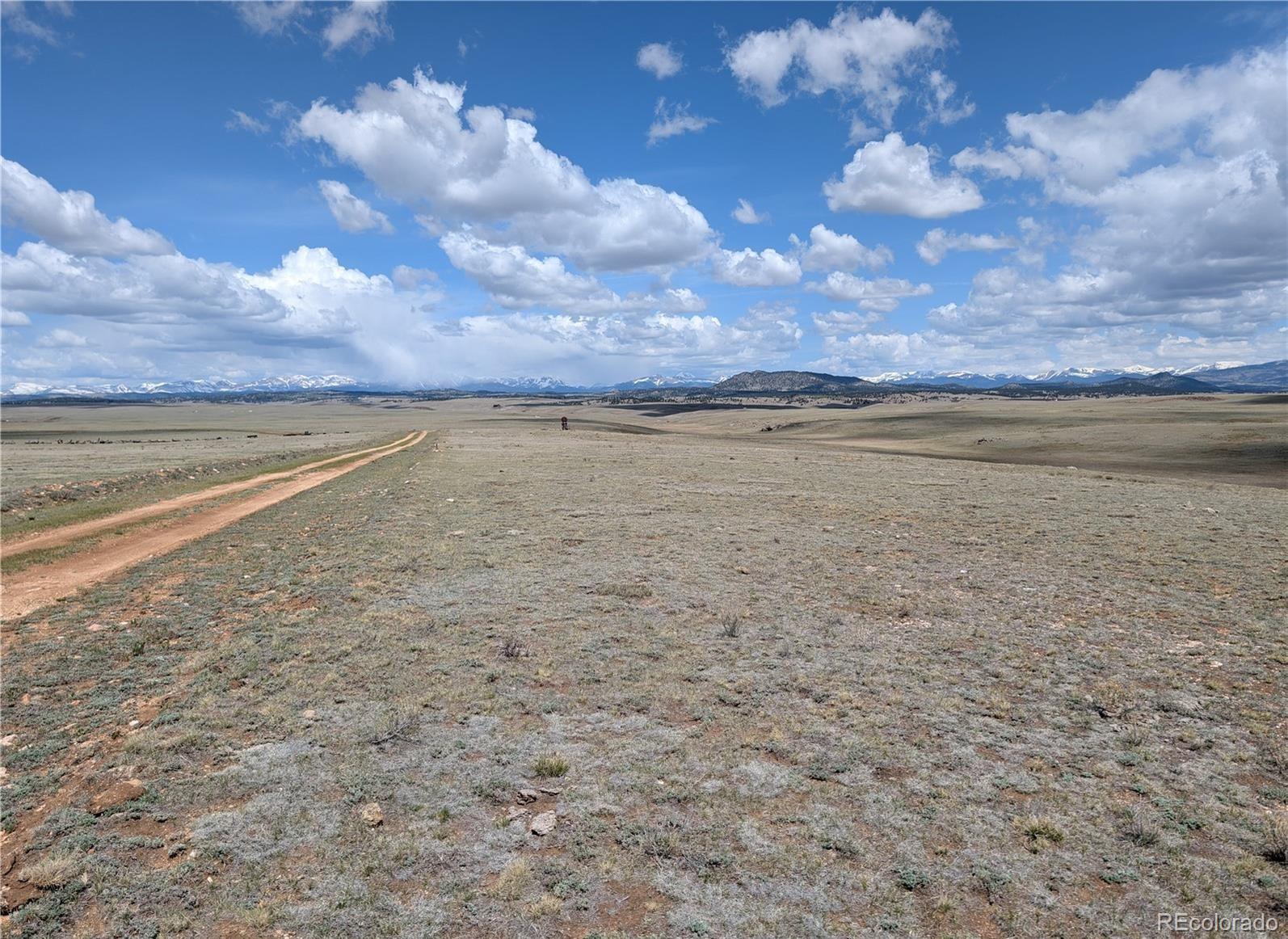 1920 Badger Basin Road Hartsel, CO 80449 - Photo 26 of 48