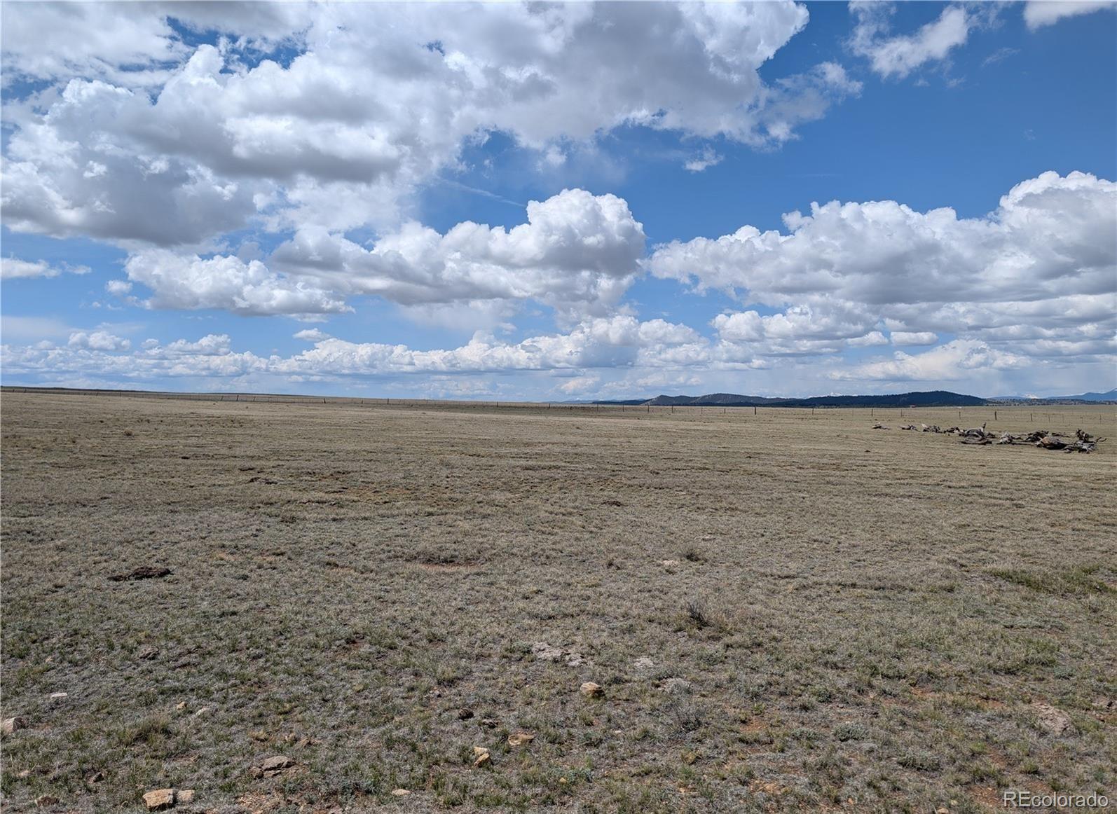 1920 Badger Basin Road Hartsel, CO 80449 - Photo 27 of 48