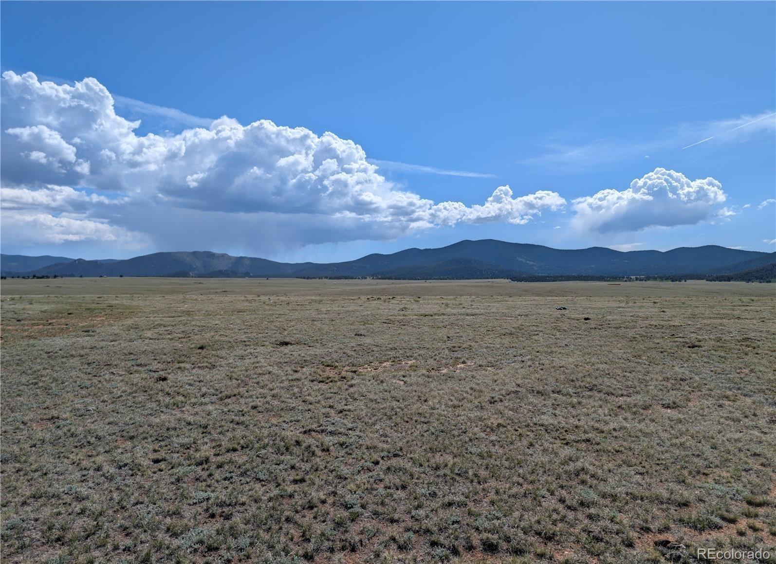 1920 Badger Basin Road Hartsel, CO 80449 - Photo 43 of 48