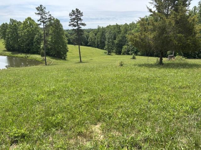 1398 Begley Road South McKee, KY 40447 - Photo 6 of 12 6