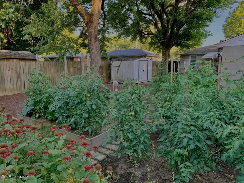 6707 Aron Road Louisville, KY 40258 - Photo 35 of 37 Aron back5