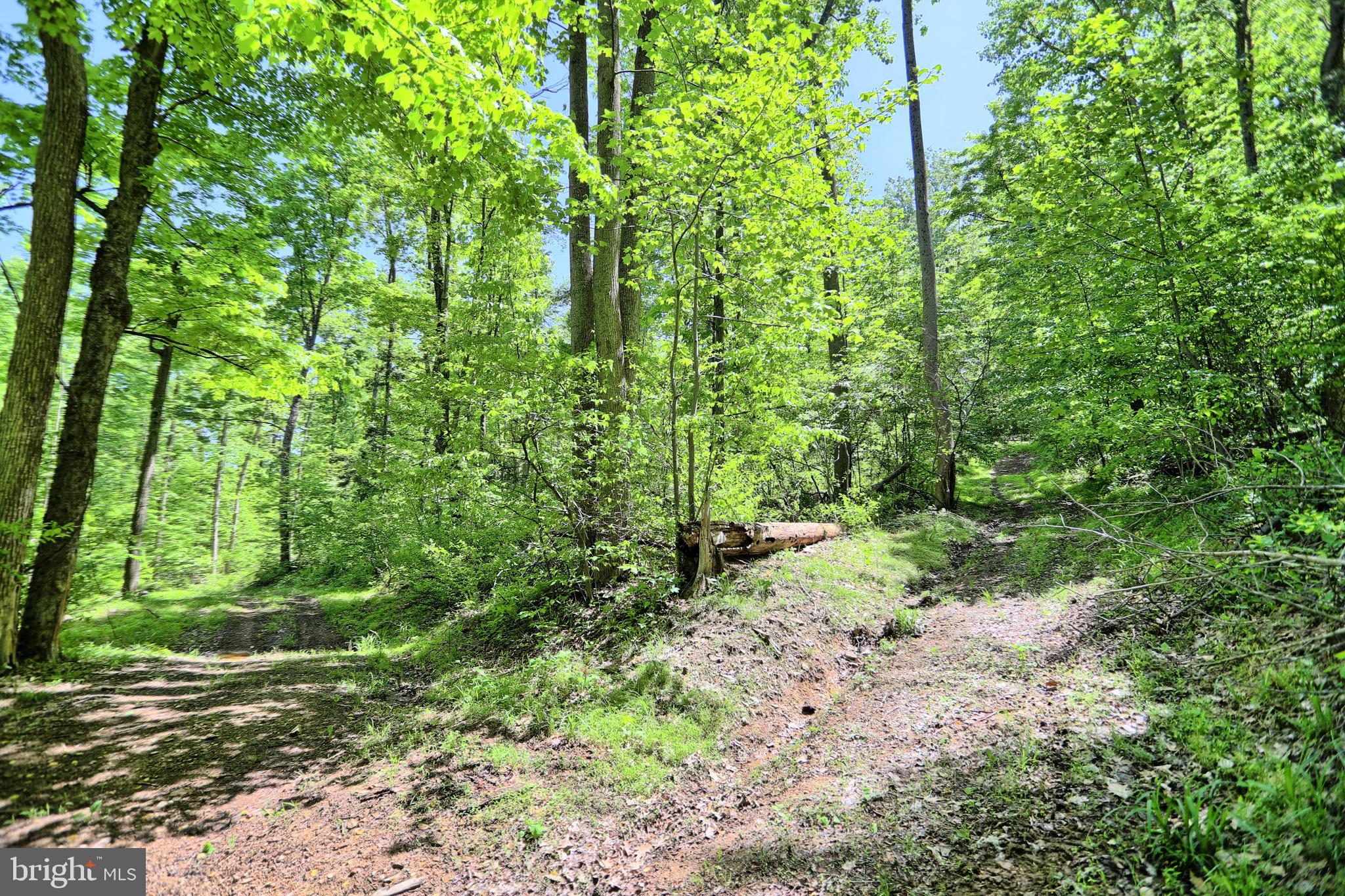 0 Raccoon Valley Road Millerstown, PA 17062 - Photo 11 of 50 Gallery Image 11