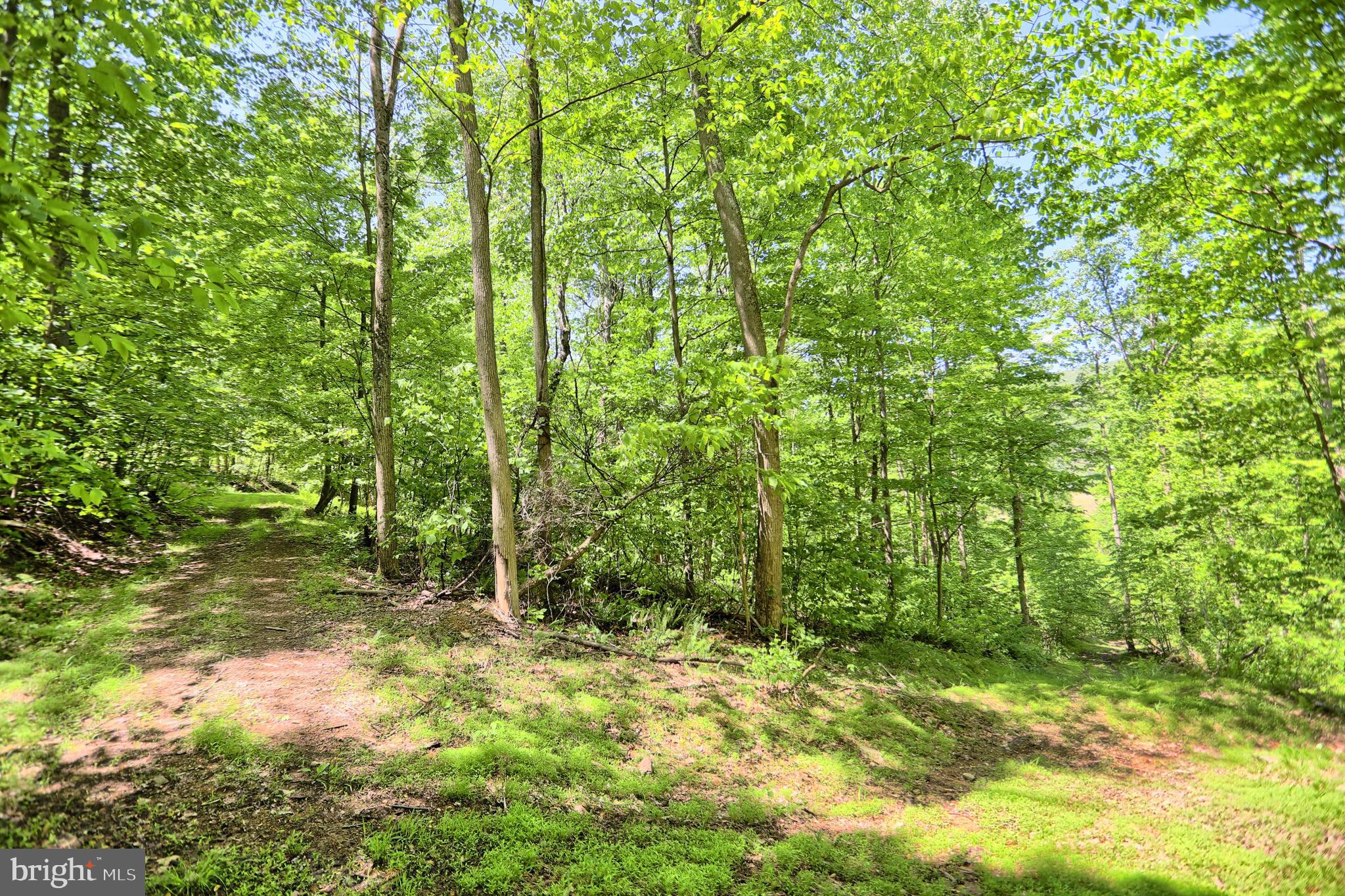 0 Raccoon Valley Road Millerstown, PA 17062 - Photo 12 of 50 Gallery Image 12