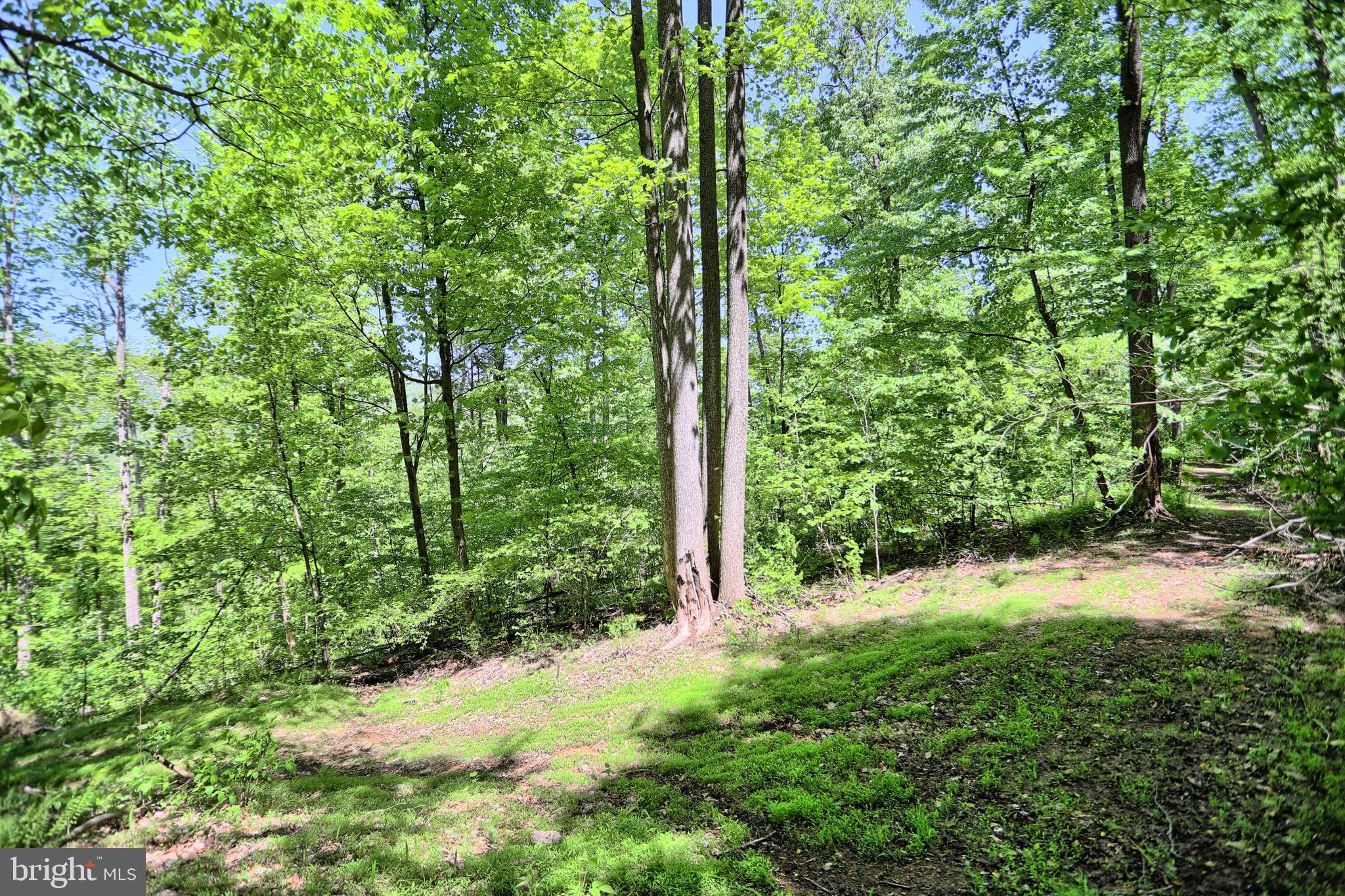 0 Raccoon Valley Road Millerstown, PA 17062 - Photo 13 of 50 Gallery Image 13