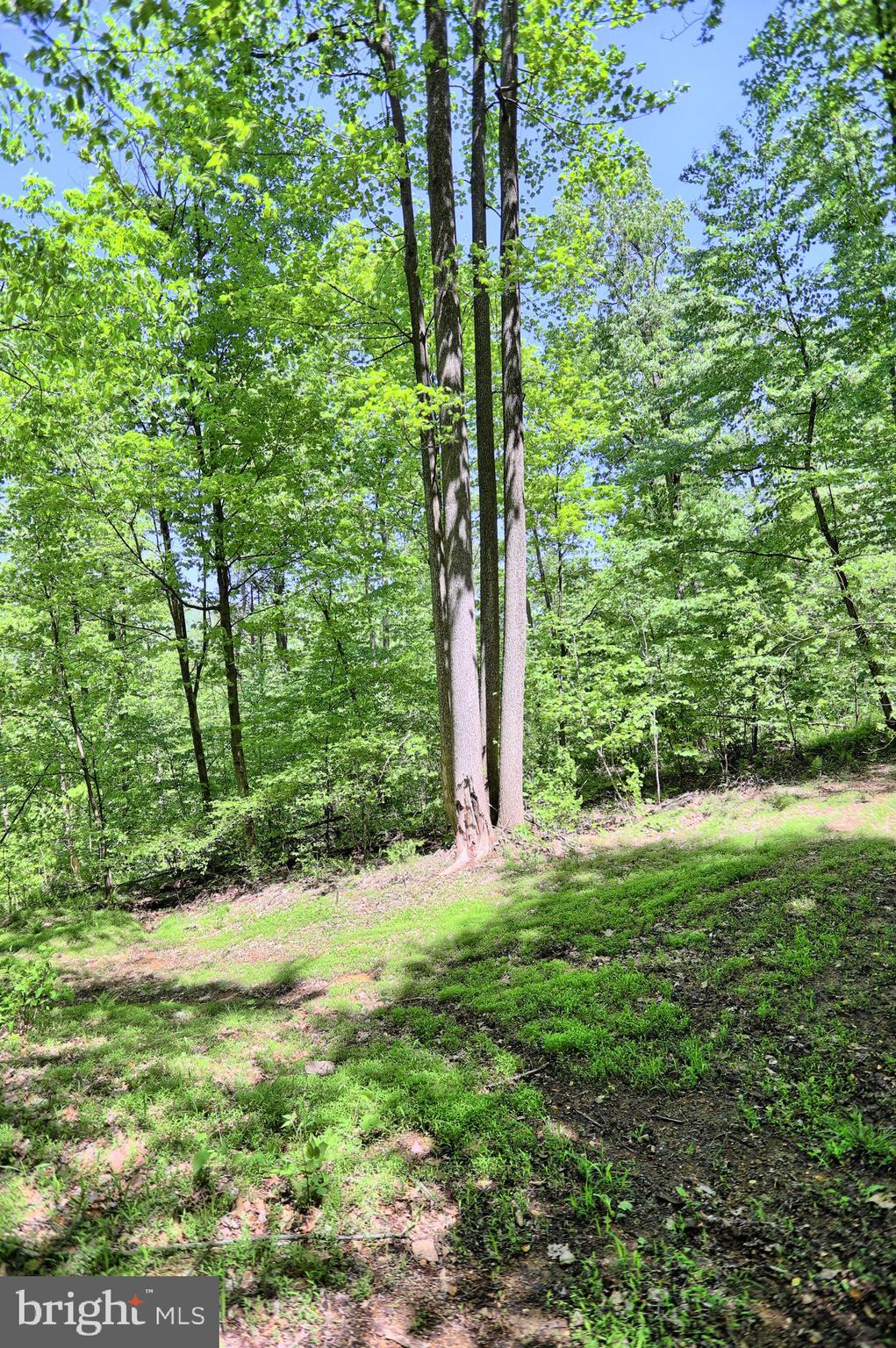 0 Raccoon Valley Road Millerstown, PA 17062 - Photo 14 of 50 Gallery Image 14