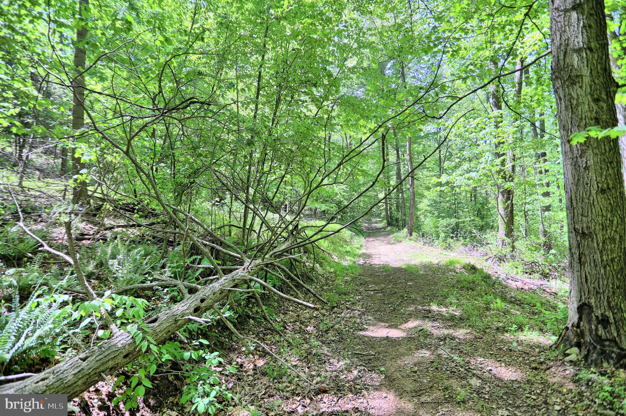 0 Raccoon Valley Road Millerstown, PA 17062 - Photo 15 of 50 Gallery Image 15
