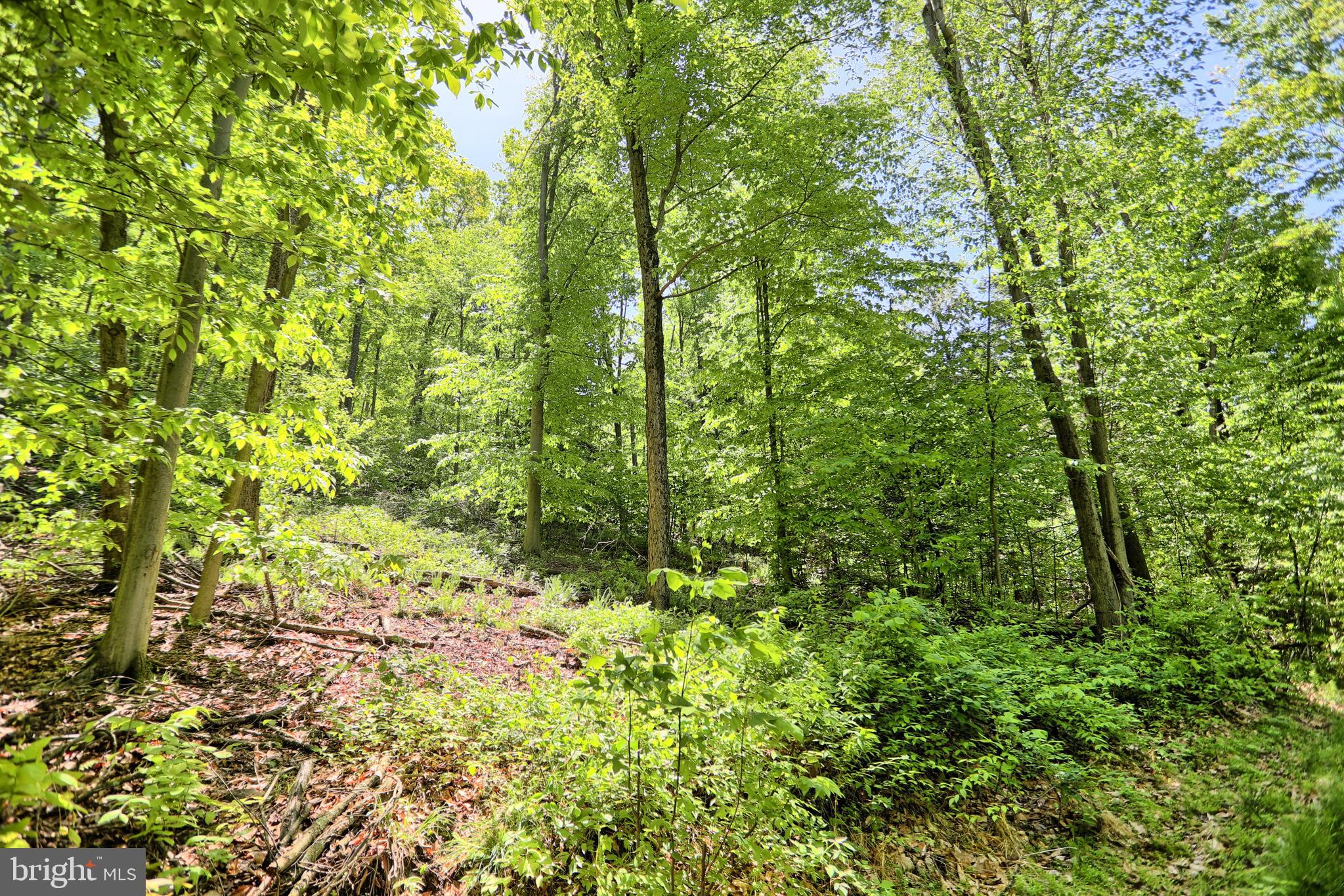 0 Raccoon Valley Road Millerstown, PA 17062 - Photo 16 of 50 Gallery Image 16