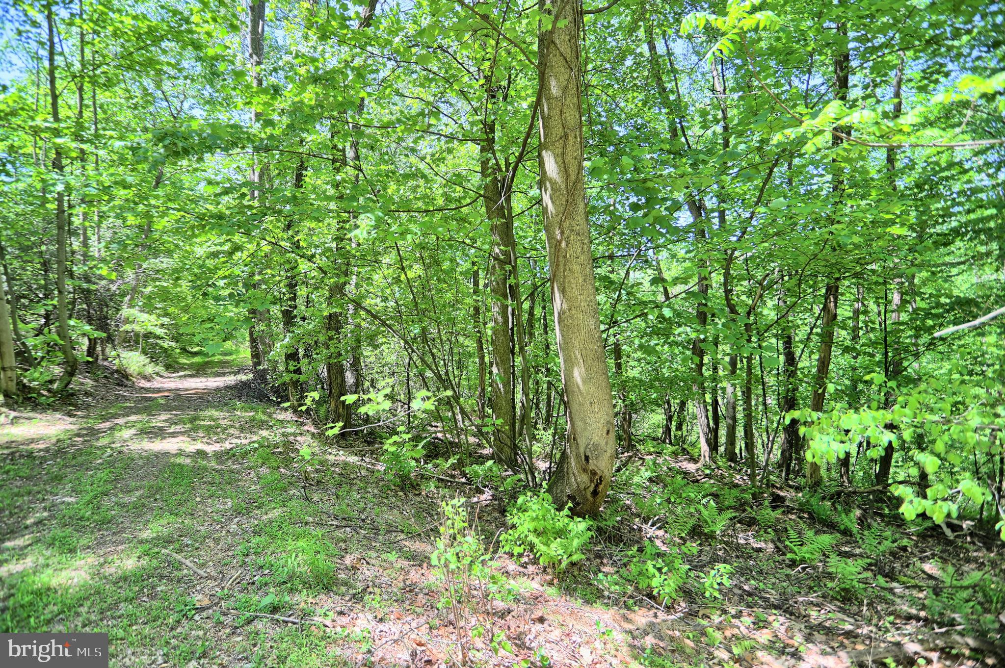 0 Raccoon Valley Road Millerstown, PA 17062 - Photo 17 of 50 Gallery Image 17