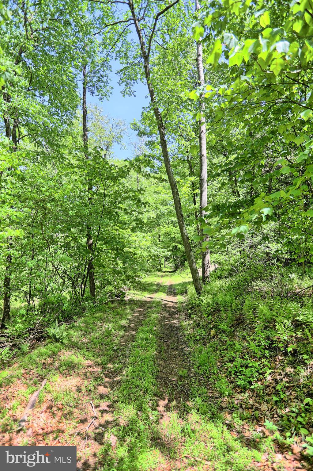 0 Raccoon Valley Road Millerstown, PA 17062 - Photo 18 of 50 Gallery Image 18
