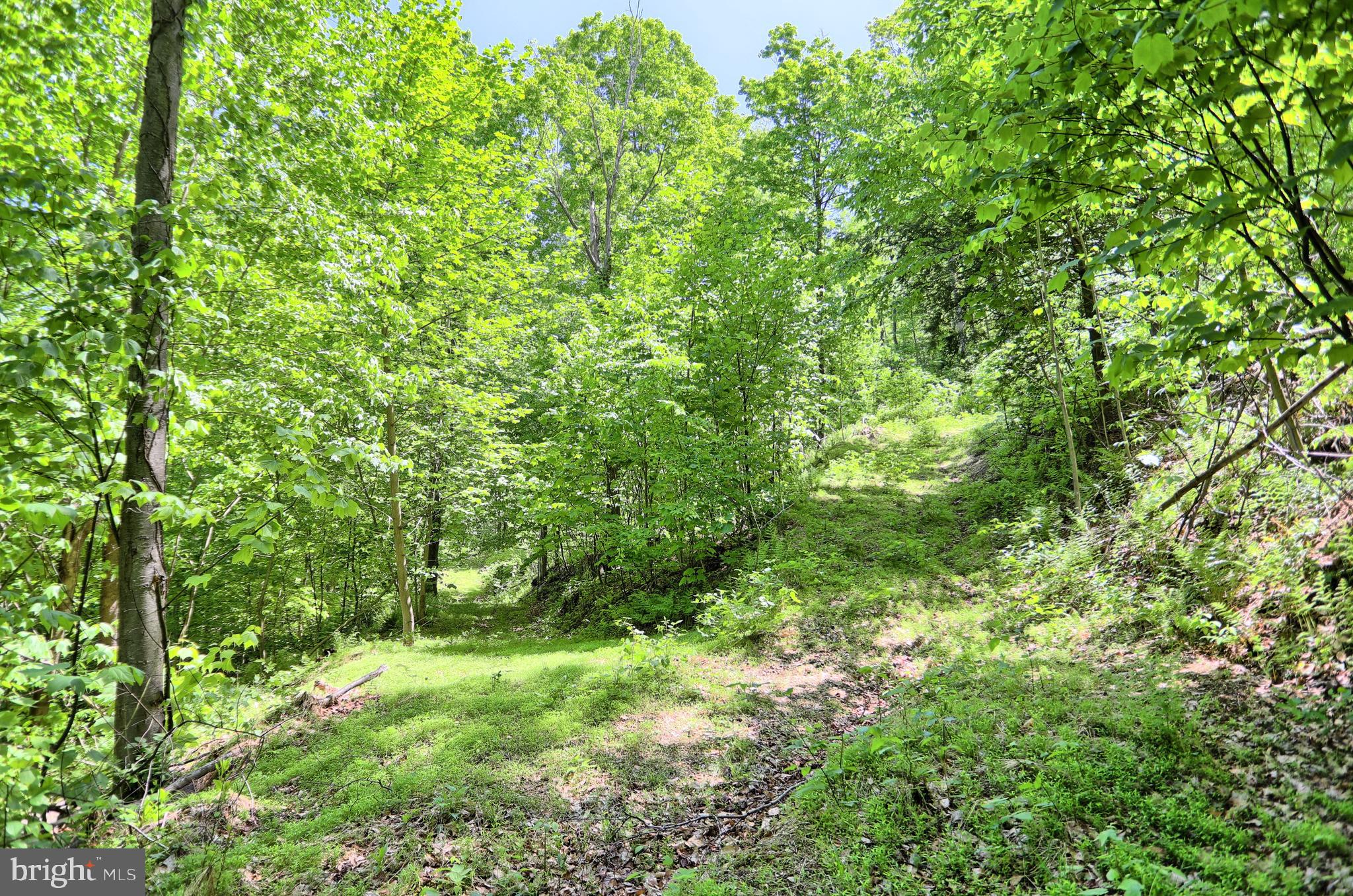 0 Raccoon Valley Road Millerstown, PA 17062 - Photo 19 of 50 Gallery Image 19