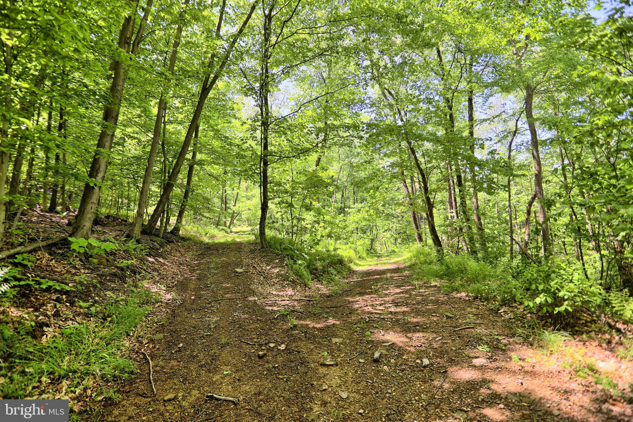 0 Raccoon Valley Road Millerstown, PA 17062 - Photo 20 of 50 Gallery Image 20