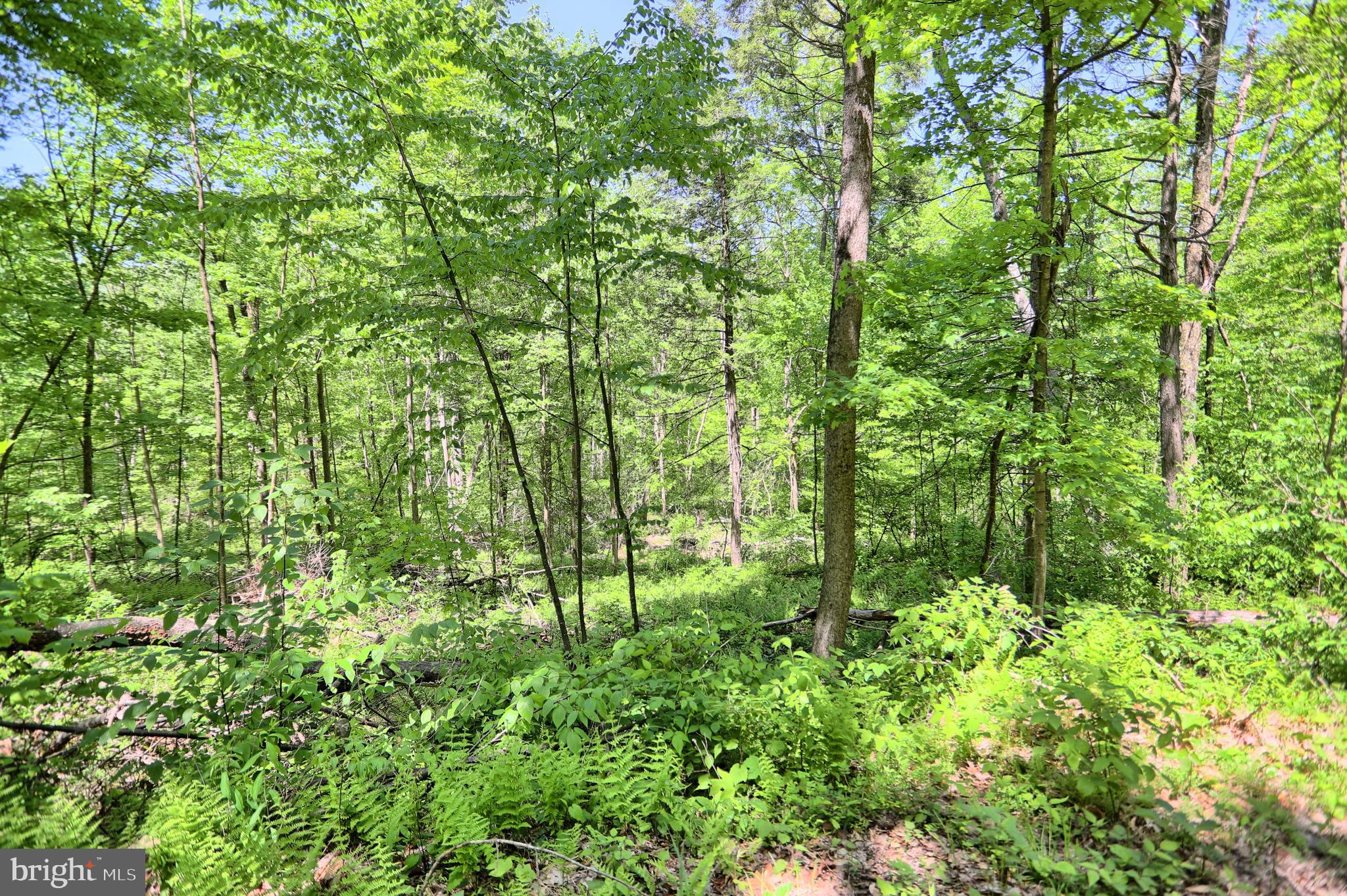0 Raccoon Valley Road Millerstown, PA 17062 - Photo 23 of 50 Gallery Image 23